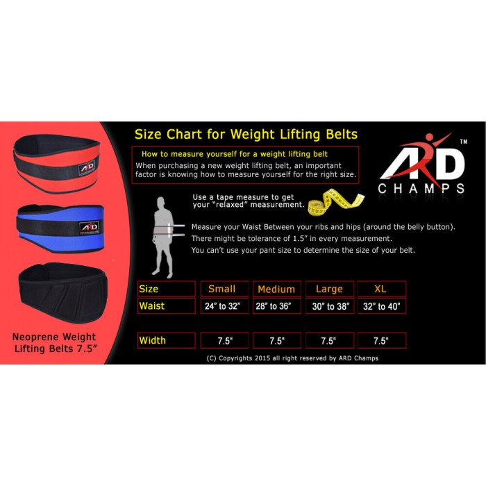 ARD CHAMPS™ Weight Lifting Belt Fitness Gym Workout Wide Back